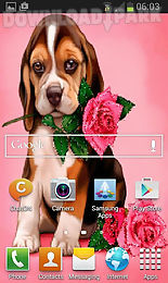 puppy rose live wallpaper