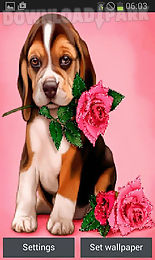puppy rose live wallpaper