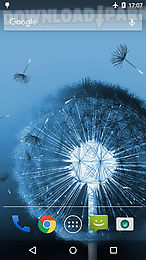 dandelion live wallpaper