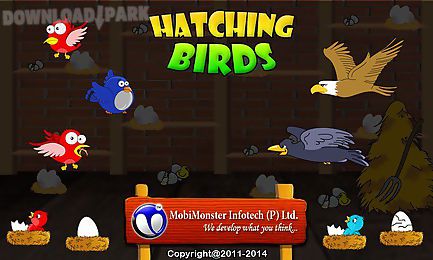 hatching birds