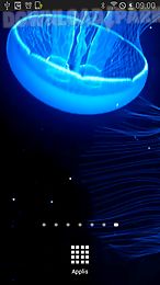 night light jelly fish lwp