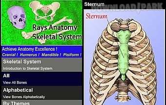 Rays anatomy skeletal system