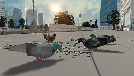 flying bird pigeon simulator 2