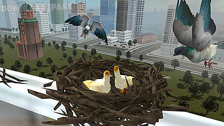 flying bird pigeon simulator 2