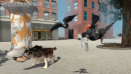 flying bird pigeon simulator 2