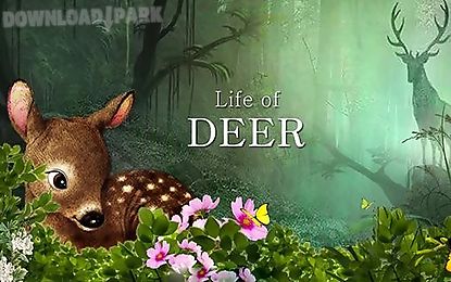 life of deer