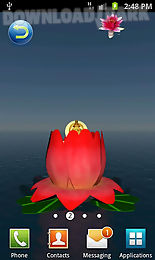 laxmi pooja 3d live wallpaper