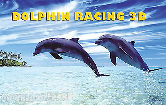 Dolphin racing 3d