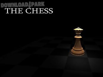 the chess
