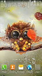 autumn little owl wallpaper