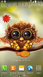 autumn little owl wallpaper