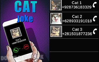 Fake call cat joke