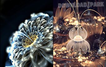 Luminous flowers wallpaper