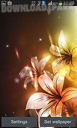 glowing flowers by creative factory wallpapers