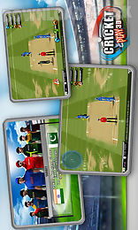 cricket play 3d - live the game 