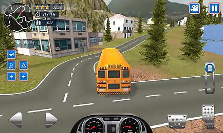 school bus driver 2016