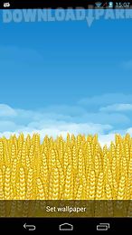 wheat field 3d live wallpaper