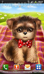cute dog sweet puppy dress up