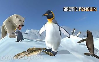 Arctic penguin