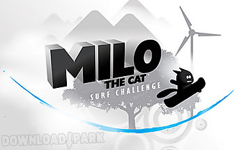 Milo the cat: surf challenge