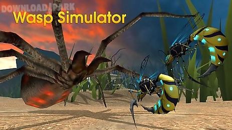 wasp simulator