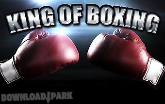 King of boxing 3d