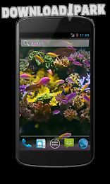 aquarium video live wallpaper