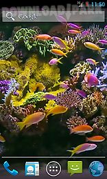 aquarium video live wallpaper