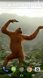 wild dance crazy monkey lwp