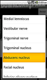 neuroslice
