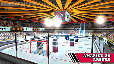 pin hockey - ice arena