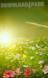 spring meadow live wallpaper