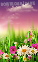 spring meadow live wallpaper