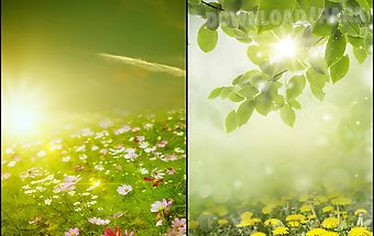 Spring meadow live wallpaper
