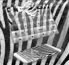 zebra keyboard