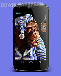 3d monkey live wallpaper