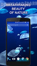 jellyfishes 3d live wallpaper