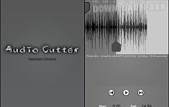 Audio cutter