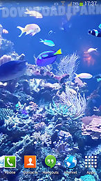 aquarium hd 2