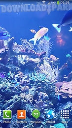 aquarium hd 2