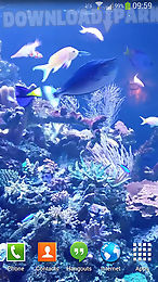 aquarium hd 2