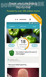 pregnancy & baby daily tracker