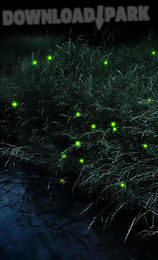 firefly live wallpaper free