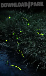 firefly live wallpaper free