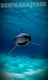 killer shark lwp free