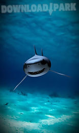 killer shark lwp free