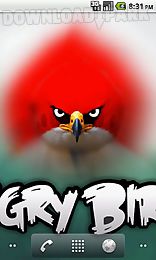 angry birds live wp - free