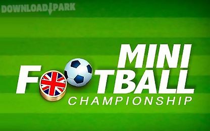 mini football: championship