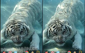 Underwater tiger