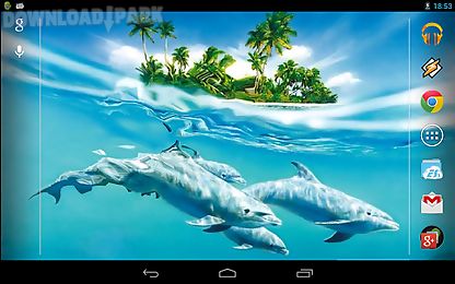 magic touch: dolphins